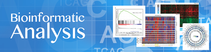 HCI - Bioinformatic Analysis